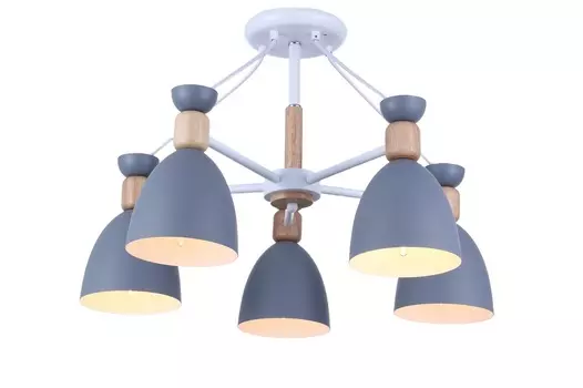 Потолочная люстра J-light Homer 2364/5C