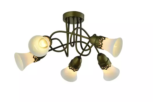 Потолочная люстра J-light Kelly 1345/5C