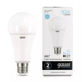 Лампа Gauss LED Elementary A67 30W E27 2390lm 6500K 1/10/50