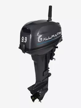 Лодочный мотор ALLFA CGF9.9, Серый