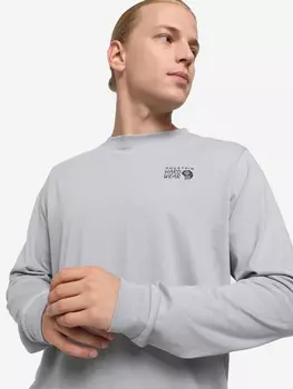 Лонгслив мужской Mountain Hardwear Back Logo Long Sleeve, Серый