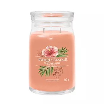 YANKEE CANDLE Ароматическая свеча Tropical Breeze