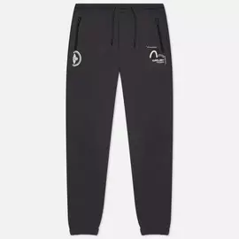 Мужские брюки Evisu Kamon &amp; Seagull Zip Pockets, цвет серый, размер M