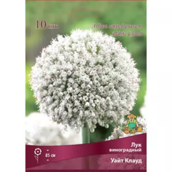 Лук виноградный Уайт Клауд (10шт.)