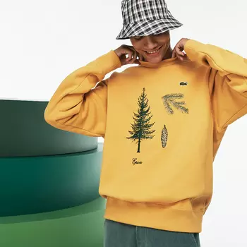 Толстовка Lacoste