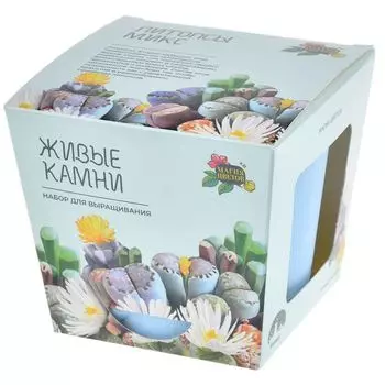 Набор для выращивания растений Магия цветов "Литопсы микс (живые камни)"