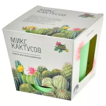 Набор для выращивания растений Магия цветов "Микс кактусов"