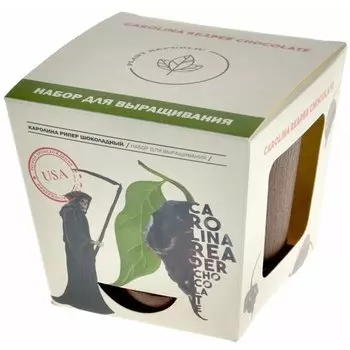 Набор для выращивания растений "Plant Republic", "Перец острый Каролина Рипер Шоколадный"