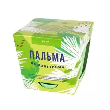 Набор для выращивания растений "Тысяча листьев", "Пальма Вашингтония"
