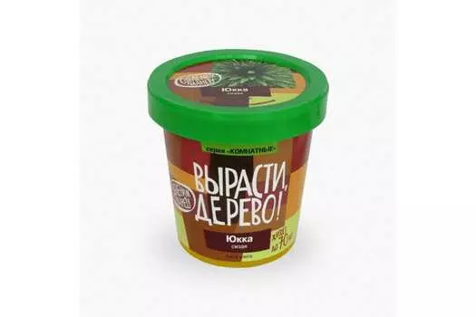 Набор для выращивания Вырасти, дерево! Юкка сизая