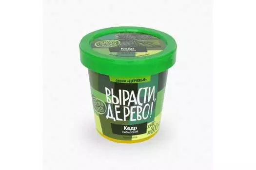 Набор для выращивания Вырасти, дерево! Кедр сибирский