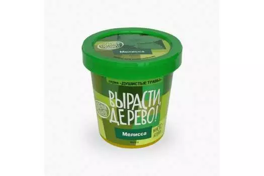 Набор для выращивания Вырасти, дерево! Мелисса