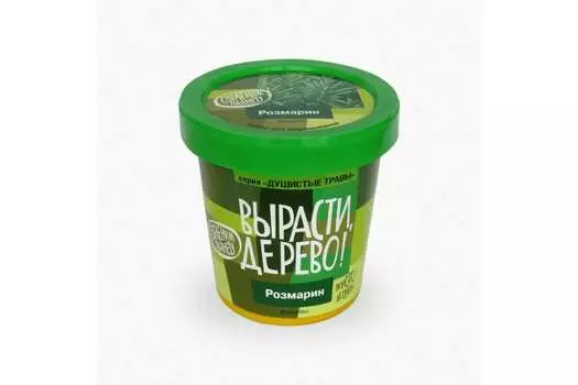 Набор для выращивания Вырасти, дерево! Розмарин