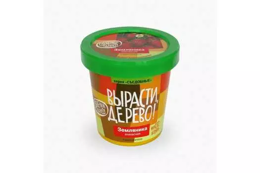 Набор для выращивания Вырасти, дерево! Земляника ананасная
