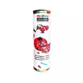 Набор для акварельного фуд скетчинга Marvy "Арт со вкусом" 18 шт + видеоурок