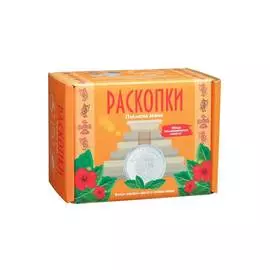 Набор для проведения раскопок с монетами "Майя"