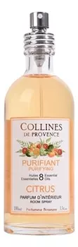 Интерьерные духи Les Naturelles 100мл: Purifying Citrus