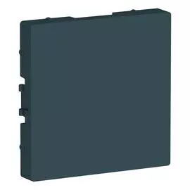 Заглушка изумруд Schneider Electric atlasdesign