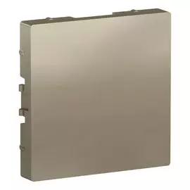 Заглушка шампань Schneider Electric atlasdesign