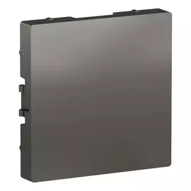 Заглушка сталь Schneider Electric atlasdesign