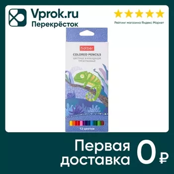 Карандаши цветные Hatber Colora 12 цветовс доставкой!