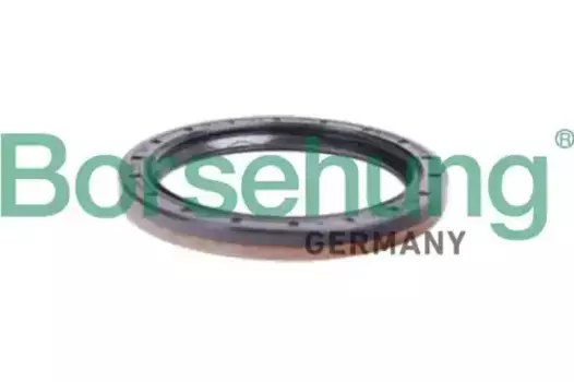 сальник дифференциала! 60x74x8\ VW Bora/Golf/Passat/Touran 1.4-1.8/2.3/2.8/1.9TDi 99> B12197 BORSEHUNG