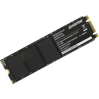 SSD накопитель Digma Run S9 256Gb (DGSR1256GS93T)