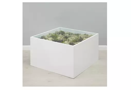 Журнальный стол с миксом стабилизированного мха (wowbotanica) белый 70x40x70 см.
