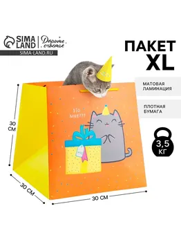 Пакет подарочный квадратный, упаковка,