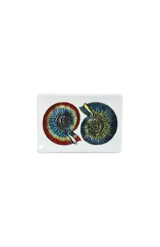 Мелочница Conchiglie Fornasetti