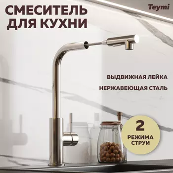 Смеситель для кухни Teymi Lori T10246 нержавеющая сталь матовая