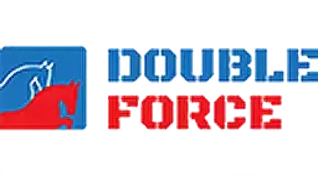 Салонный фильтр DOUBLE FORCE DFC2745