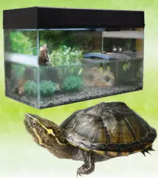 LUCKY REPTILE Террариум "Стартовый комплект для водных черепах", черный, 80x40x52 см (Германия)