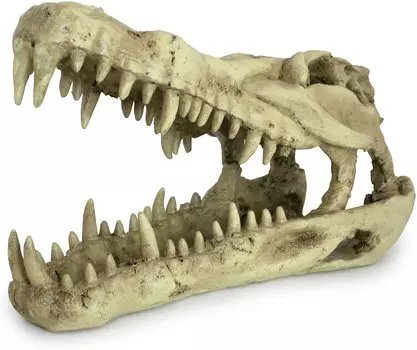 LUCKY REPTILE Декорация для террариумов, череп "Skull Krokodil", 25x11.2x15.2см (Германия)!