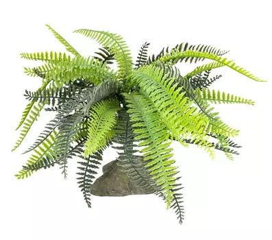 LUCKY REPTILE Декоративное растение для террариумов "Fern", 25см (Германия)