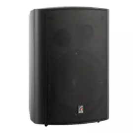 Акустическая система Roxton MS-40TB двухполосная 40/20/10/5Вт, 8 Ом, 70/100В, 70-20000Гц, кронштейн в комплекте (черная)
