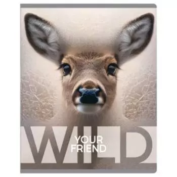 Тетрадь BG Wild, А5, 48 листов, клетка, в ассортименте