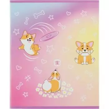Тетрадь общая №1 School Corgi time, А5, 48 листов, клетка