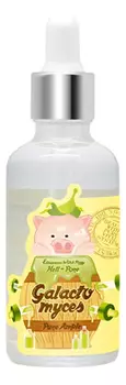 Сыворотка для лица Galactomyces Pure Ample Hell-Pore 50мл