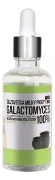 Сыворотка с экстрактом галактомисиса для проблемной кожи лица Milky Piggy Galactomyces Ferment Filtrate 100%: Сыворотка 50мл