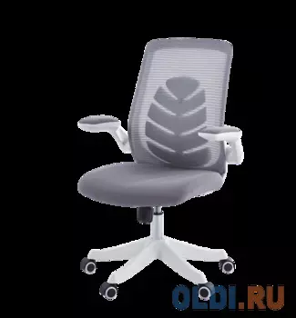 Chairman CH565 белый пластик, серый