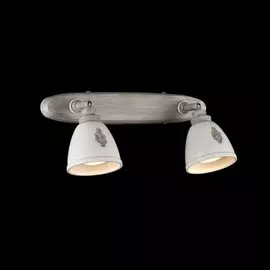 SP289-CW-02-BG Спот Maytoni Agnes