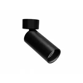 Спот (блок питания в комплекте) Donolux Rollo DL18895R15W1B ST