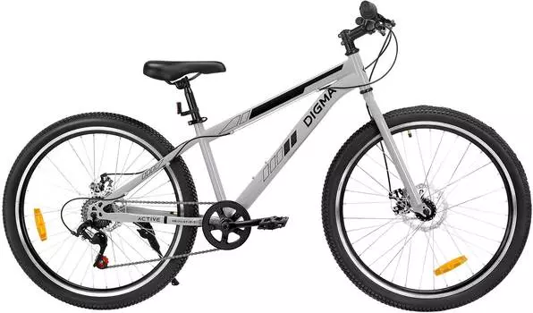 Велосипед горный Digma Active серебристый (active-26/14-st-r-s)