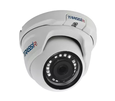 IP-камера Trassir TR-D8121IR2 3.6 мм - 3.6 мм, уличная, купольная, 2Мпикс, CMOS, до 1920x1080, до 25 кадров/с, POE, -40 °C/+60 °C (TR-D8121IR2-3.6MM)