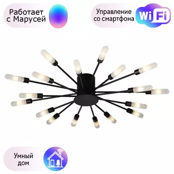 Потолочная люстра Ragno Lightstar с поддержкой Маруся 732187