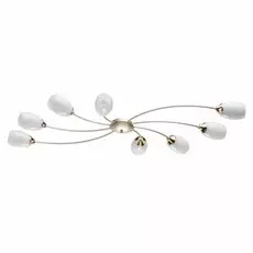 Потолочная люстра MW-Light Олимпия 638016508