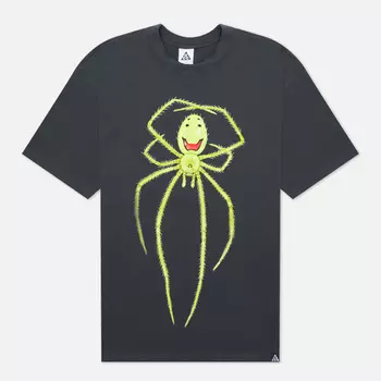 Мужская футболка Nike ACG NRG Happy Arachnid, цвет серый, размер XS