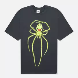 Мужская футболка Nike ACG NRG Happy Arachnid, цвет серый, размер XXL