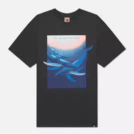 Мужская футболка Nike ACG NRG Wyland, цвет серый, размер S